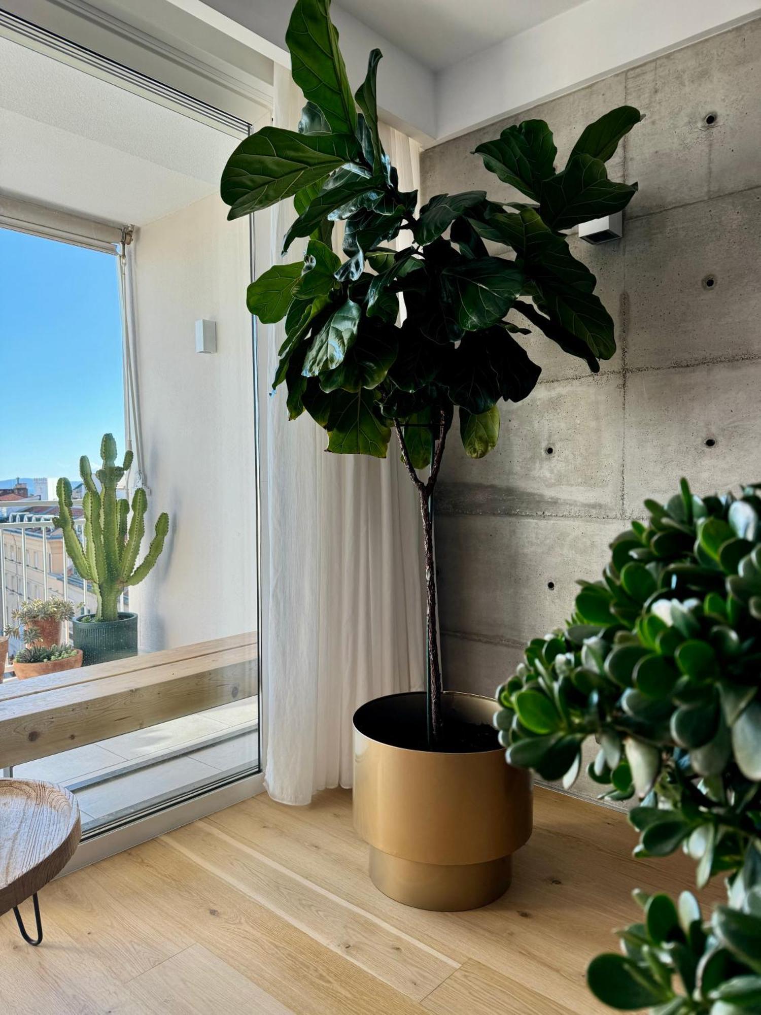 Apartmán D'Art Penthouse Split Exteriér fotografie